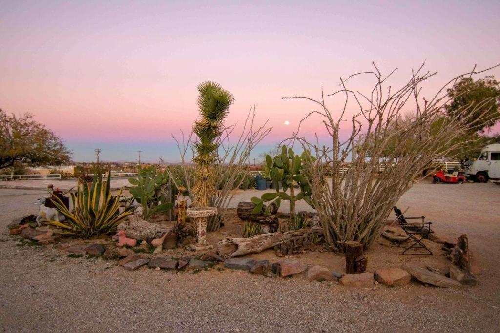 Joshua Tree Ranch House Motel - Downtown - Room #4 外观 照片