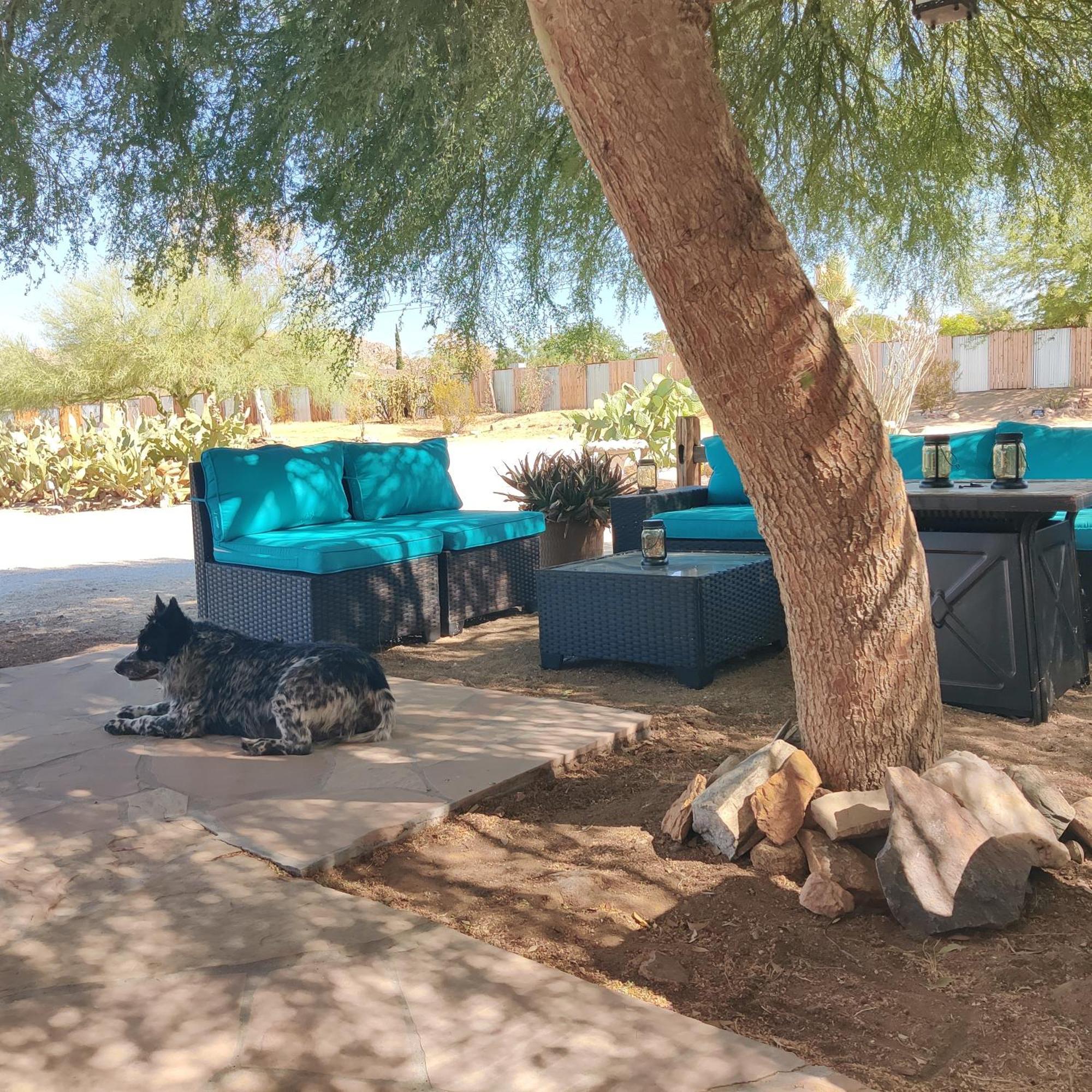 Joshua Tree Ranch House Motel - Downtown - Room #4 外观 照片